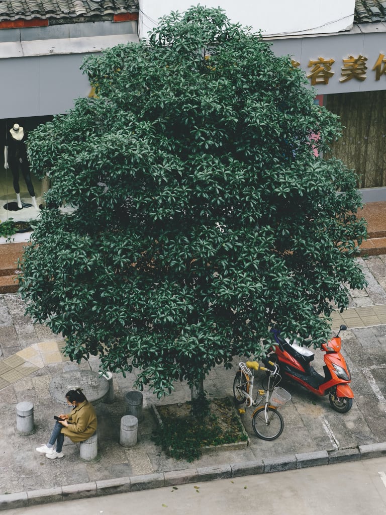 Quarantine Photography in Yangshuo, China