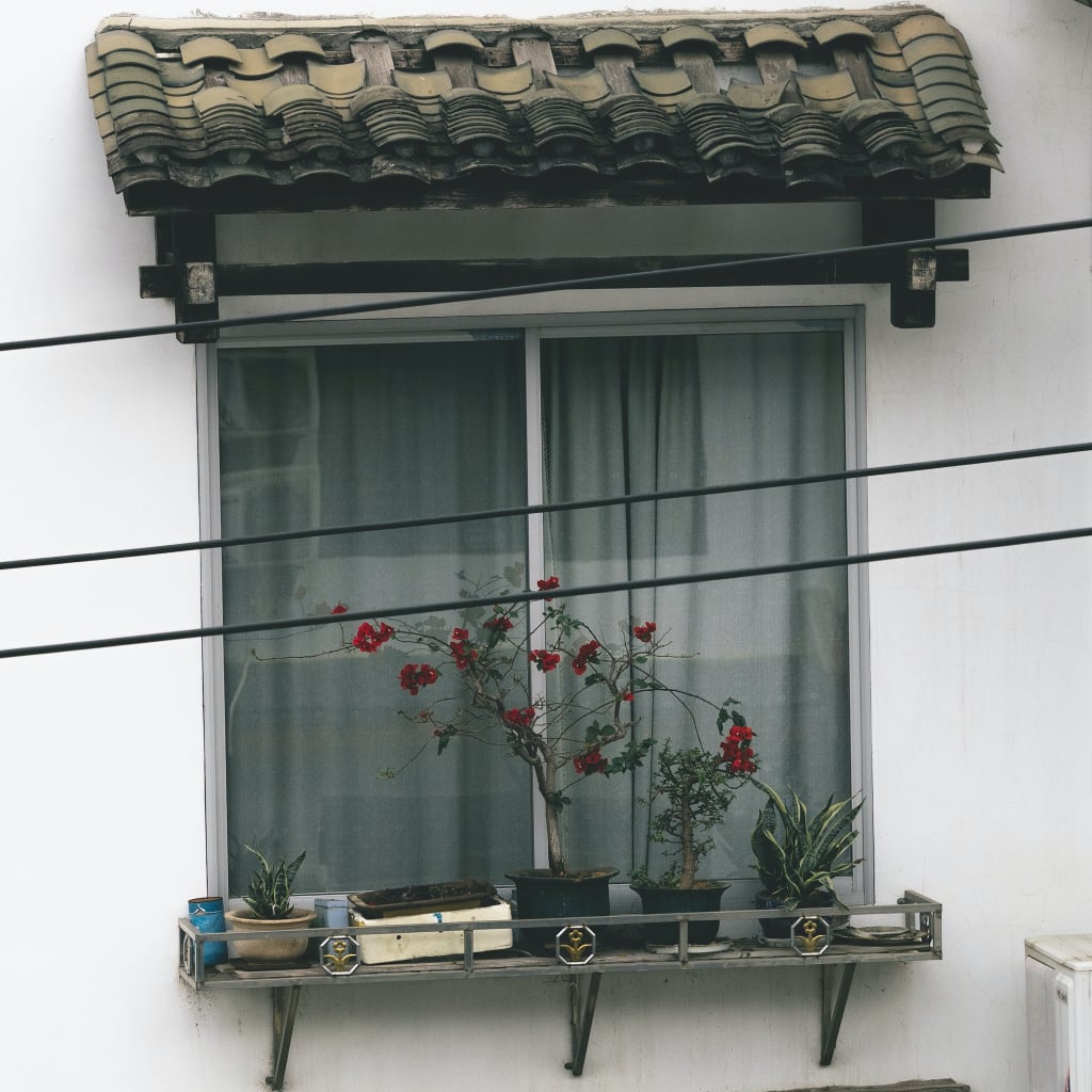 Quarantine Photography in Yangshuo, China